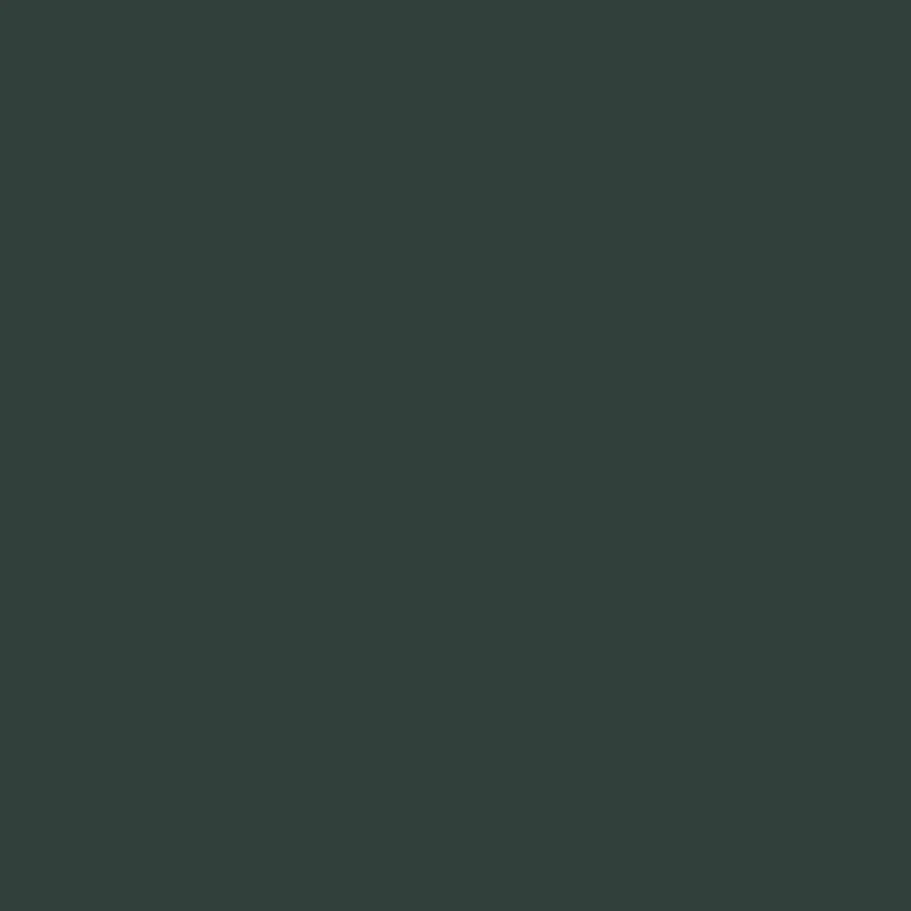 Rust-Oleum 1919830-6PK Specialty Camouflage Spray Paint, 12 oz, Deep Forest Green, 6 Pack